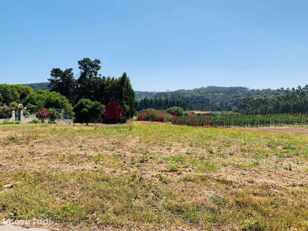 Terreno situado em Salir de Matos. - Grande imagem: 3/13