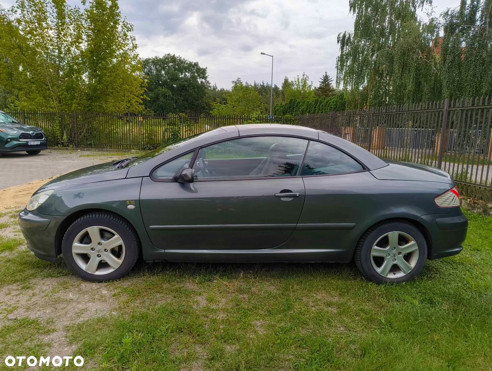 Peugeot 307 CC 2.0 - 10