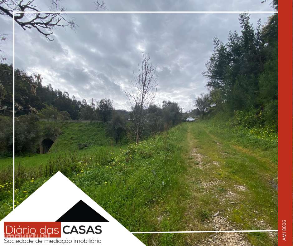 Lagar e 5 100m² de terreno - Grande imagem: 3/13