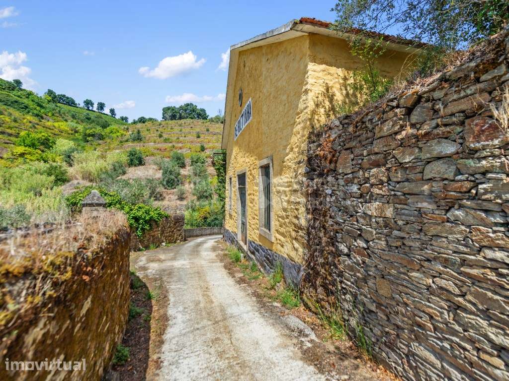 Quinta com 7,4 ha para venda em Fontelas, Douro - Grande imagem: 5/26
