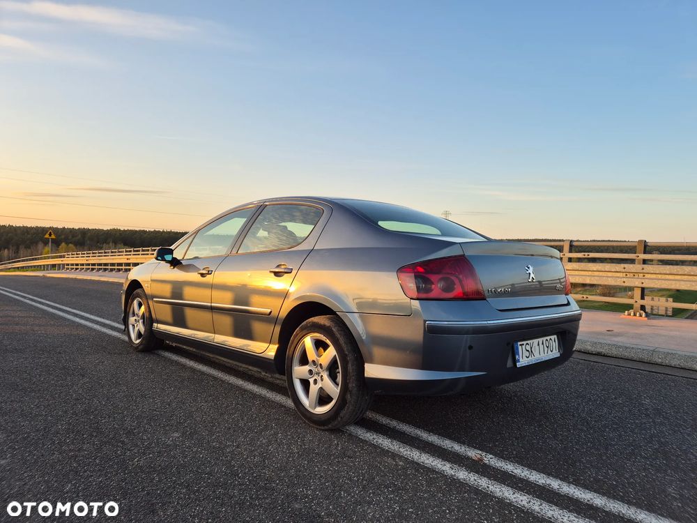 Peugeot 407 - 6