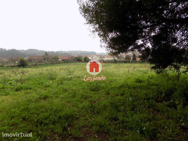 Quinta c/ 9158 m2 em Lousado, Vila Nova de Famalicão - Grande imagem: 3/17