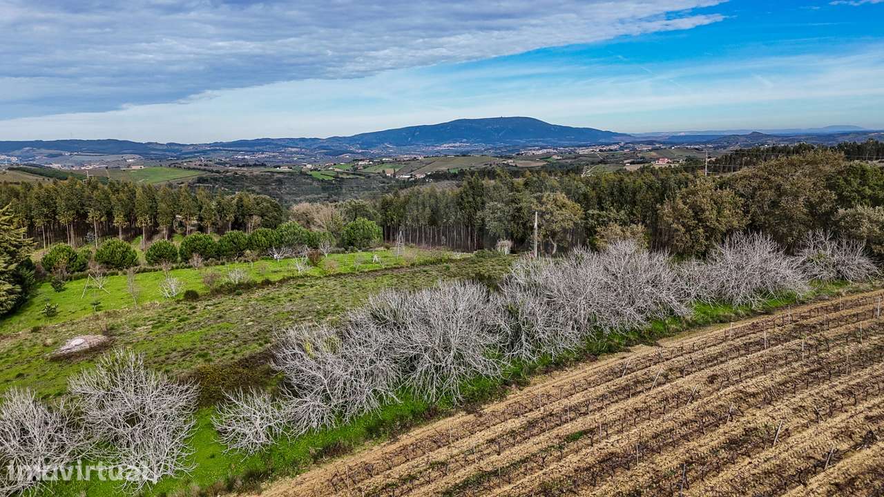 Terreno rustico na Pipa - Grande imagem: 2/12