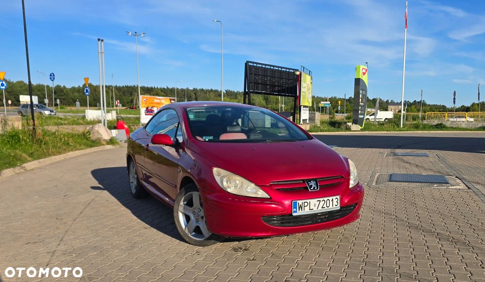 Peugeot 307 2.0 Sporty - 24