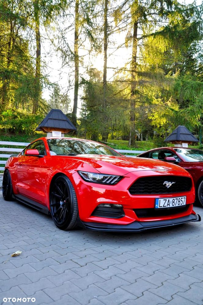 Ford Mustang - 1