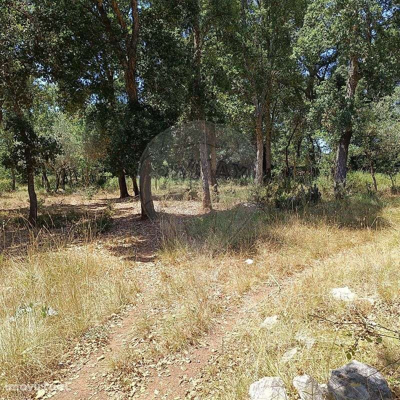 Terreno  para venda - Grande imagem: 5/15