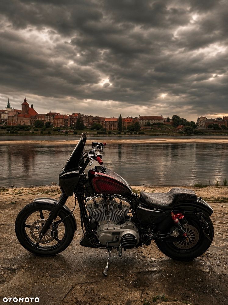 Harley-Davidson Sportster Custom 883C - 18