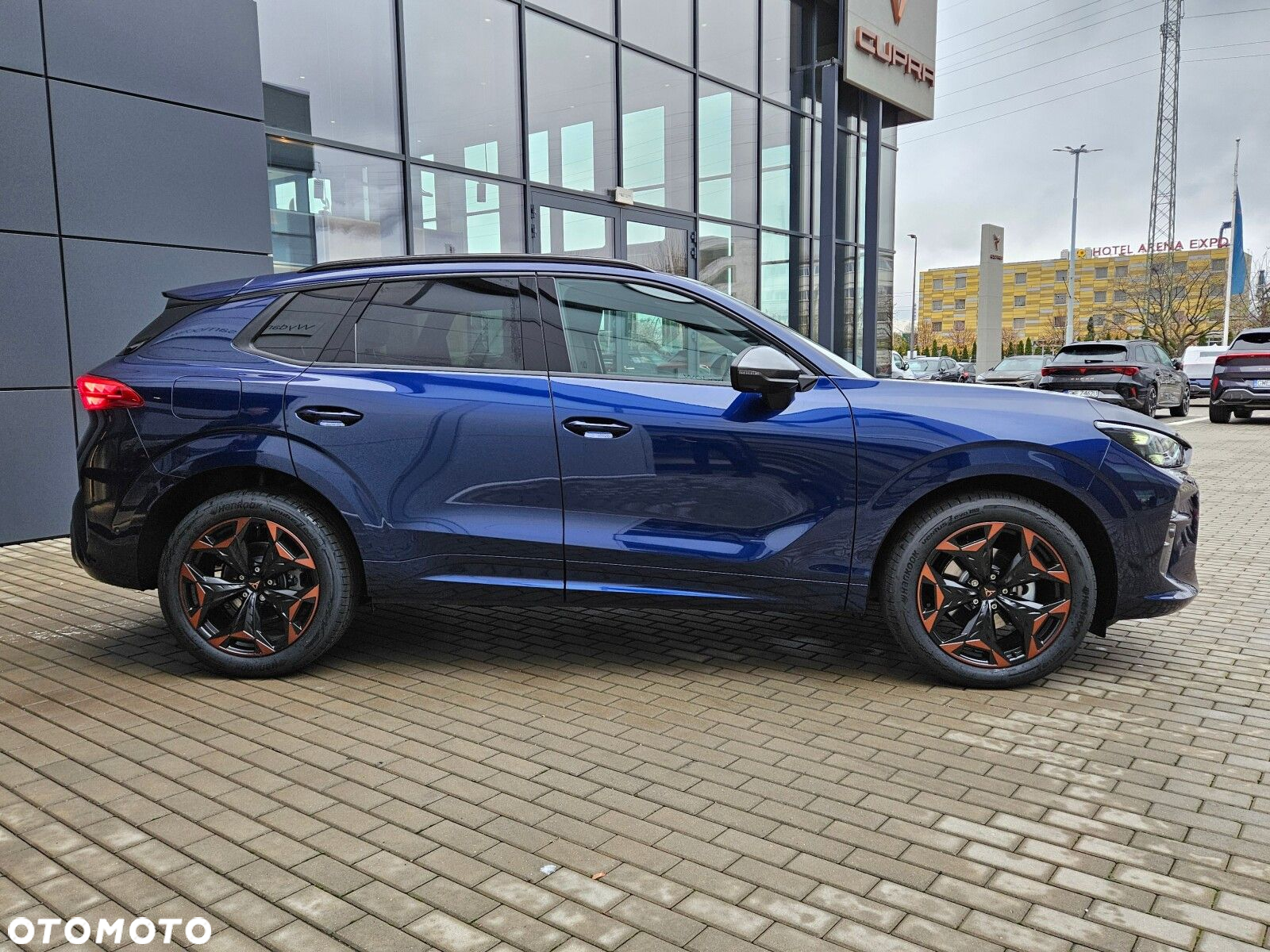 Cupra Terramar - 6