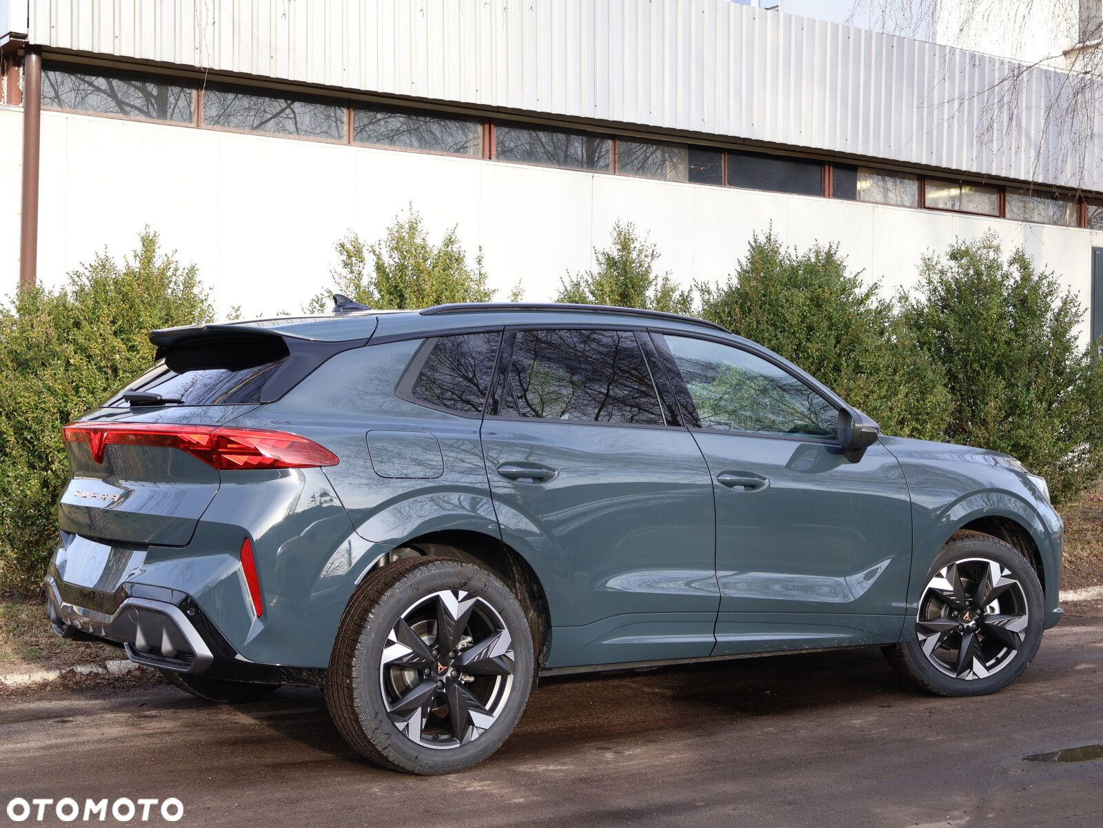 Cupra Terramar 1.5 eTSI mHEV DSG - 17
