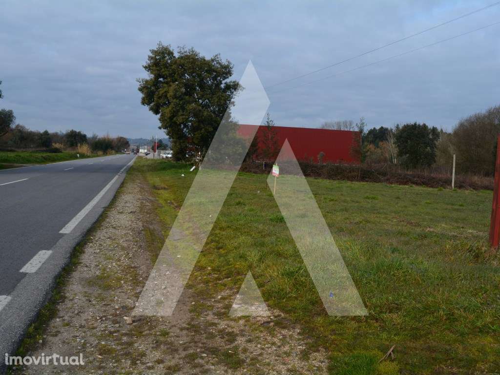 Terreno Rústico em Anadia - Grande imagem: 2/14