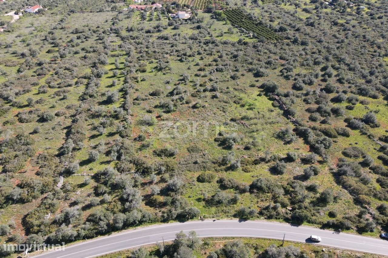 2 Terrenos Rústicos com uma área de 23.960m2, Messines - Grande imagem: 5/20