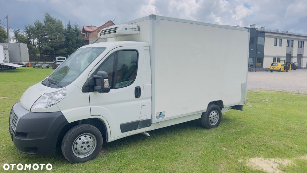 Fiat Ducato chłodnia