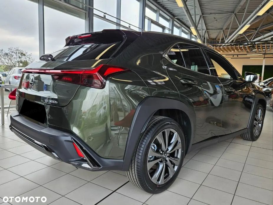 Lexus UX 300h F Sport - 4
