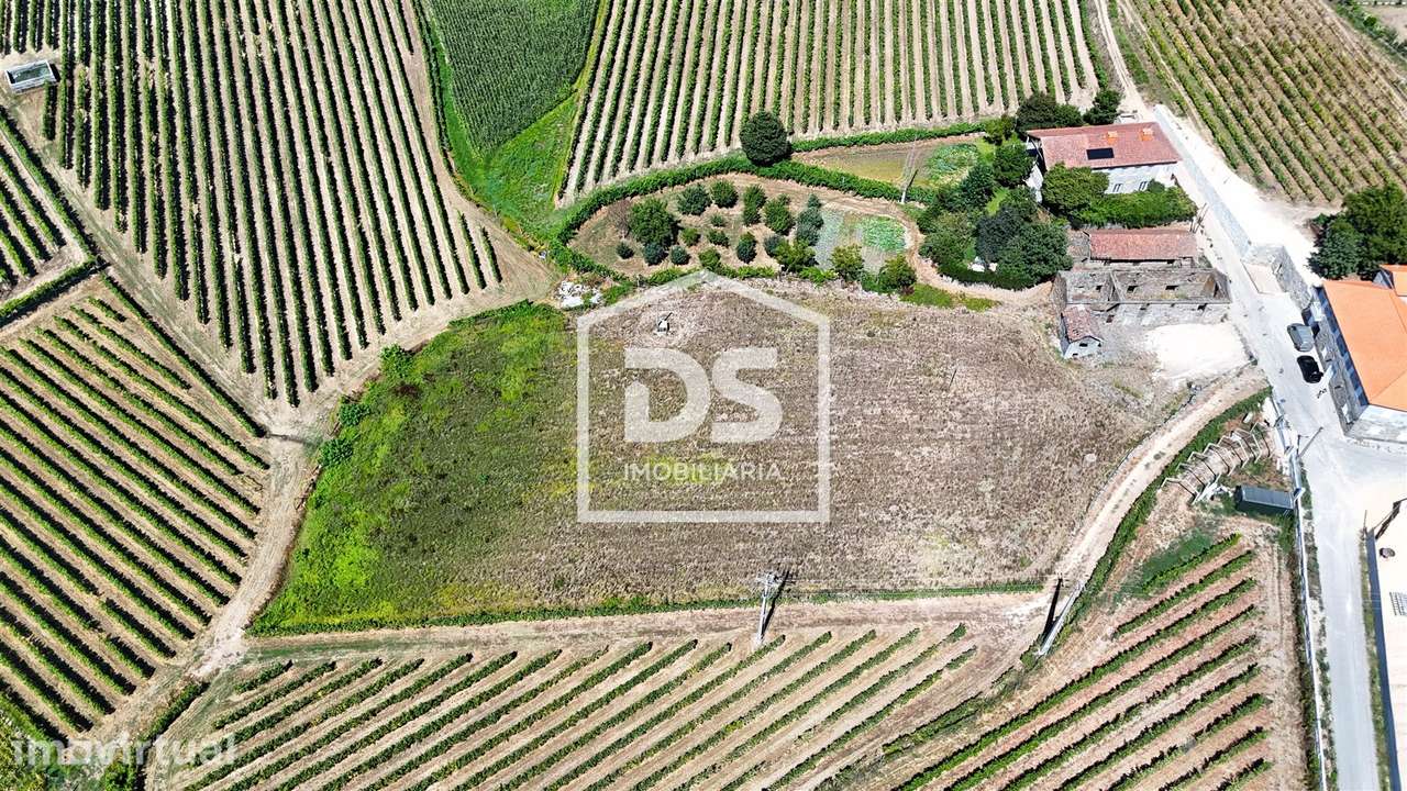 Quintinha T2 Venda em Airães,Felgueiras - Grande imagem: 4/21
