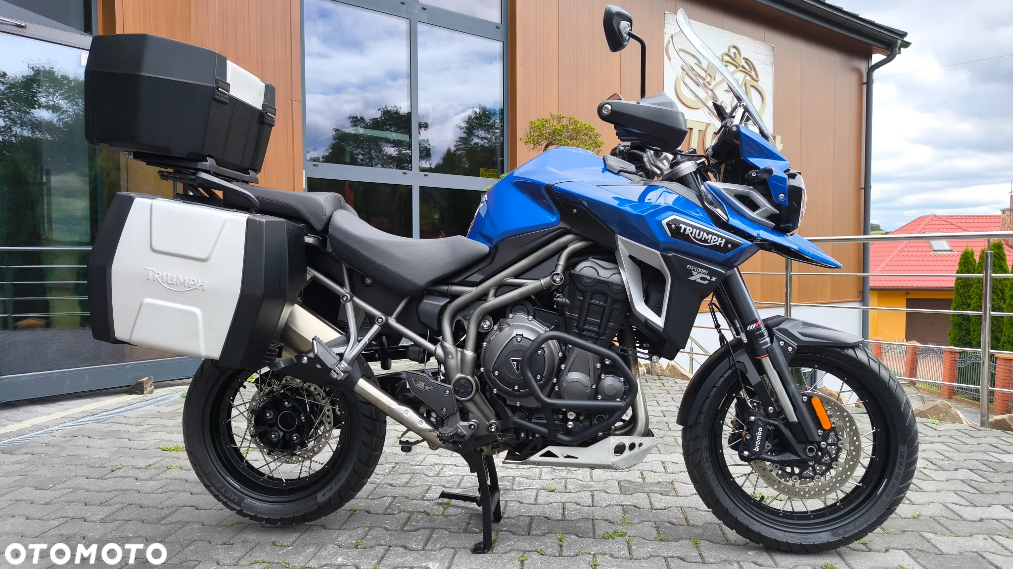 Triumph Tiger - 4