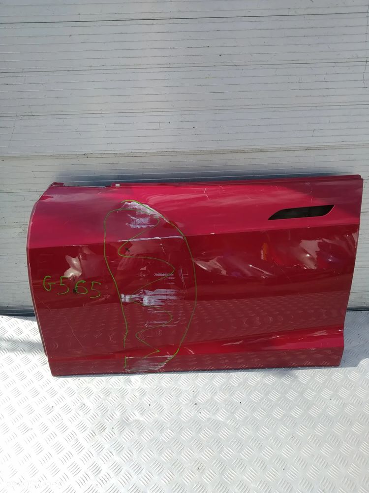 G307/G308/G315/G317/G318/G320/G565 DRZWI TESLA S  lewe przód - 22