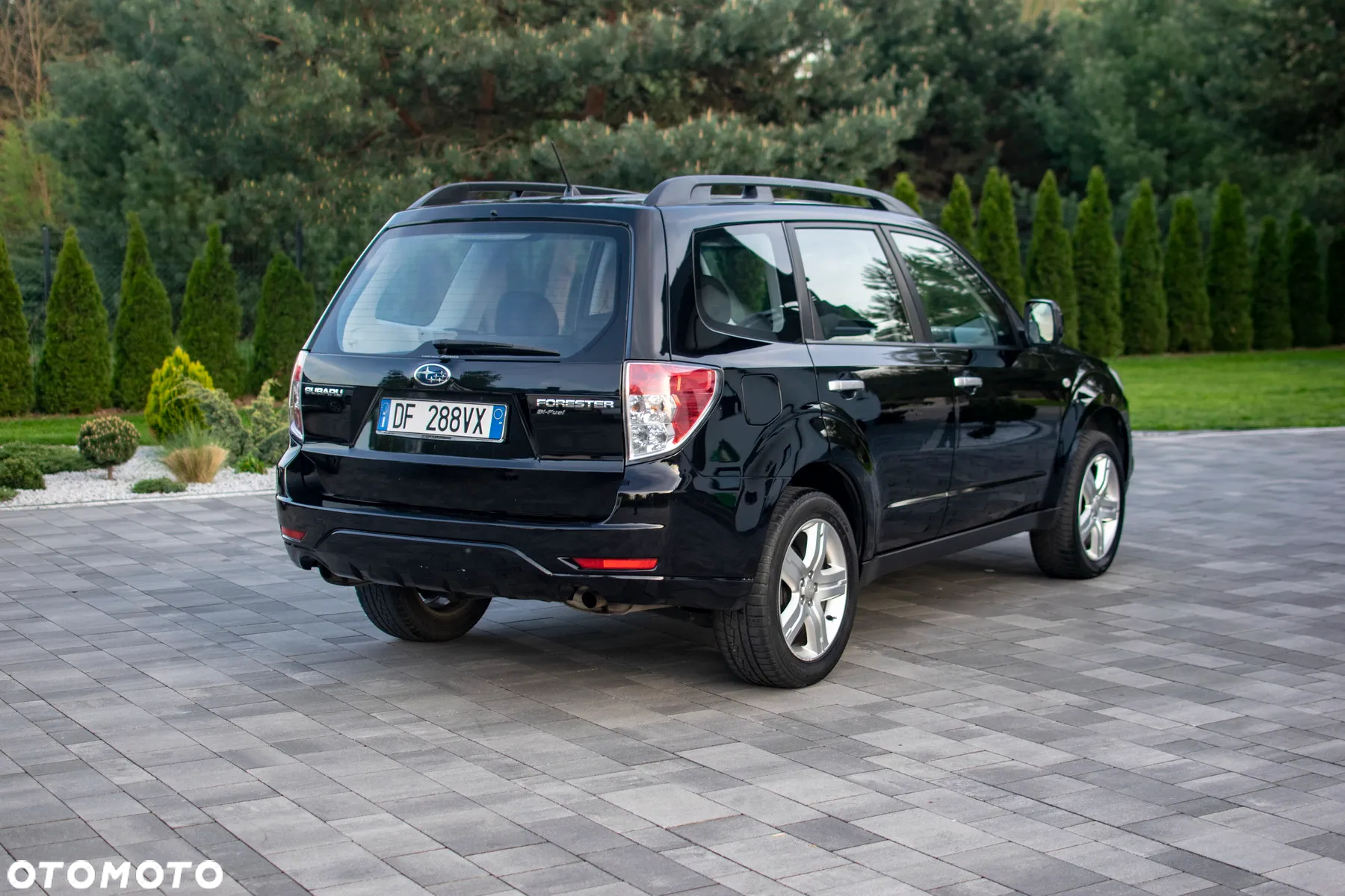 Subaru Forester - 16