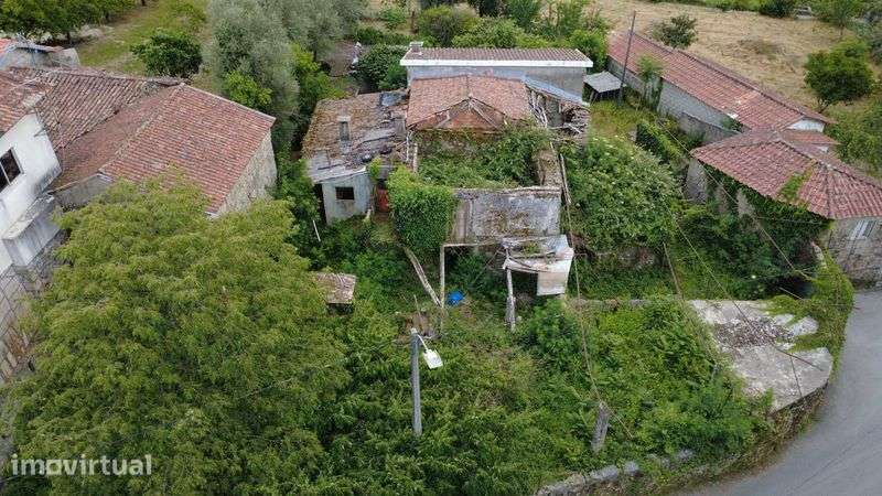 Duas casas em ruina com amplo terreno  todo murado. - Grande imagem: 4/12