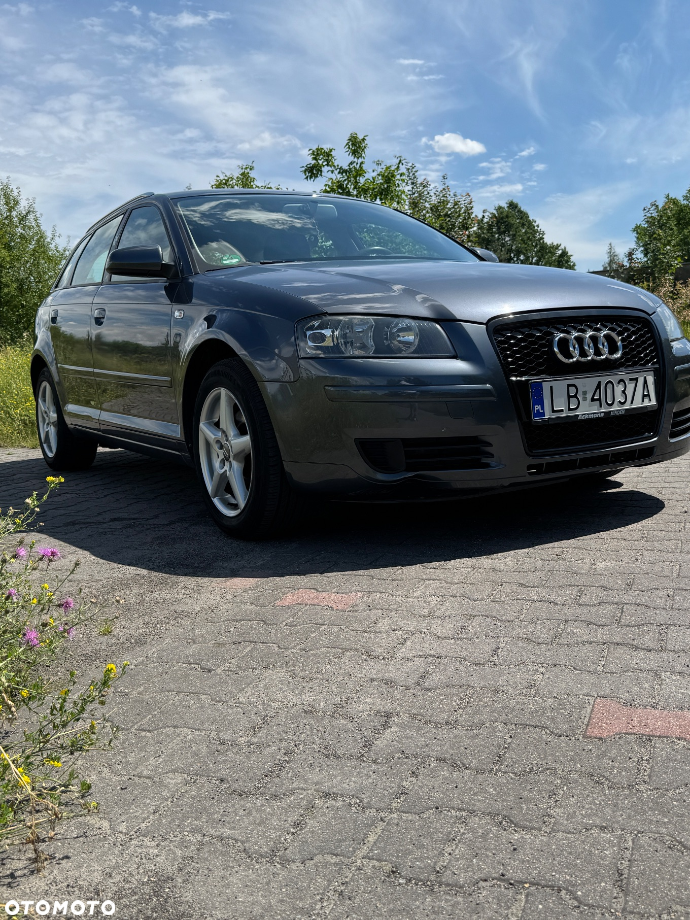 Audi A3 1.6 Ambiente - 2