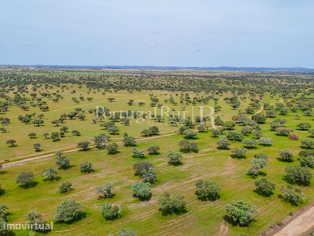 Herdade agropecuária de 550 ha junto ao alqueva com olival - Grande imagem: 4/60