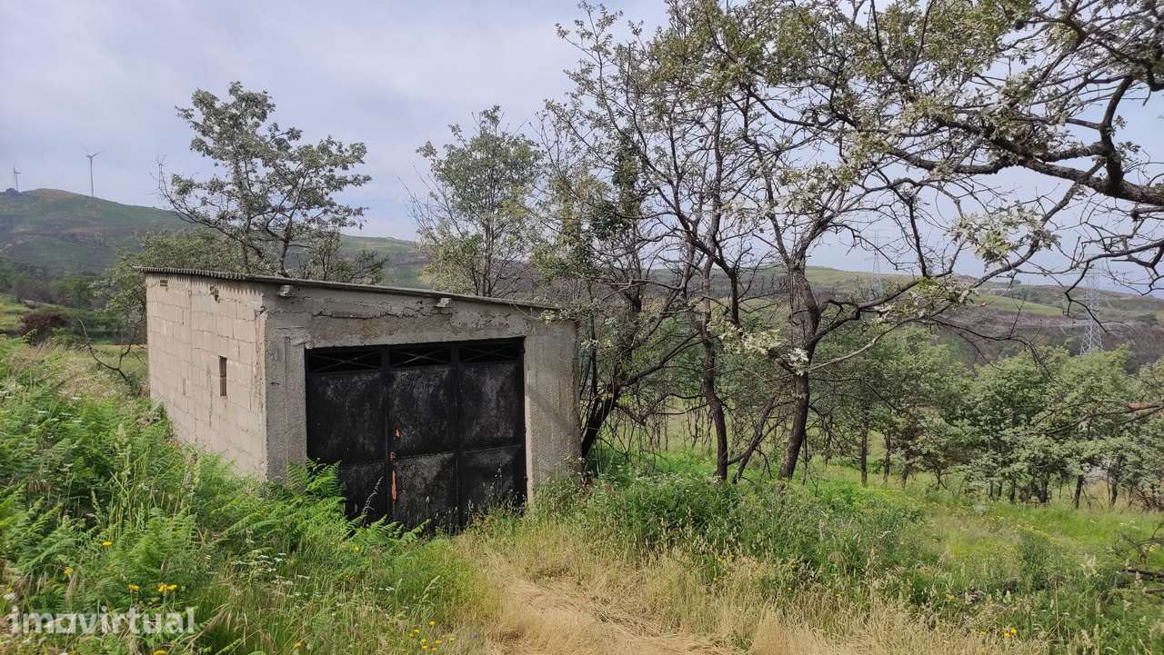 Terreno Rústico  Venda em Gouveia (São Simão),Amarante - Grande imagem: 2/13