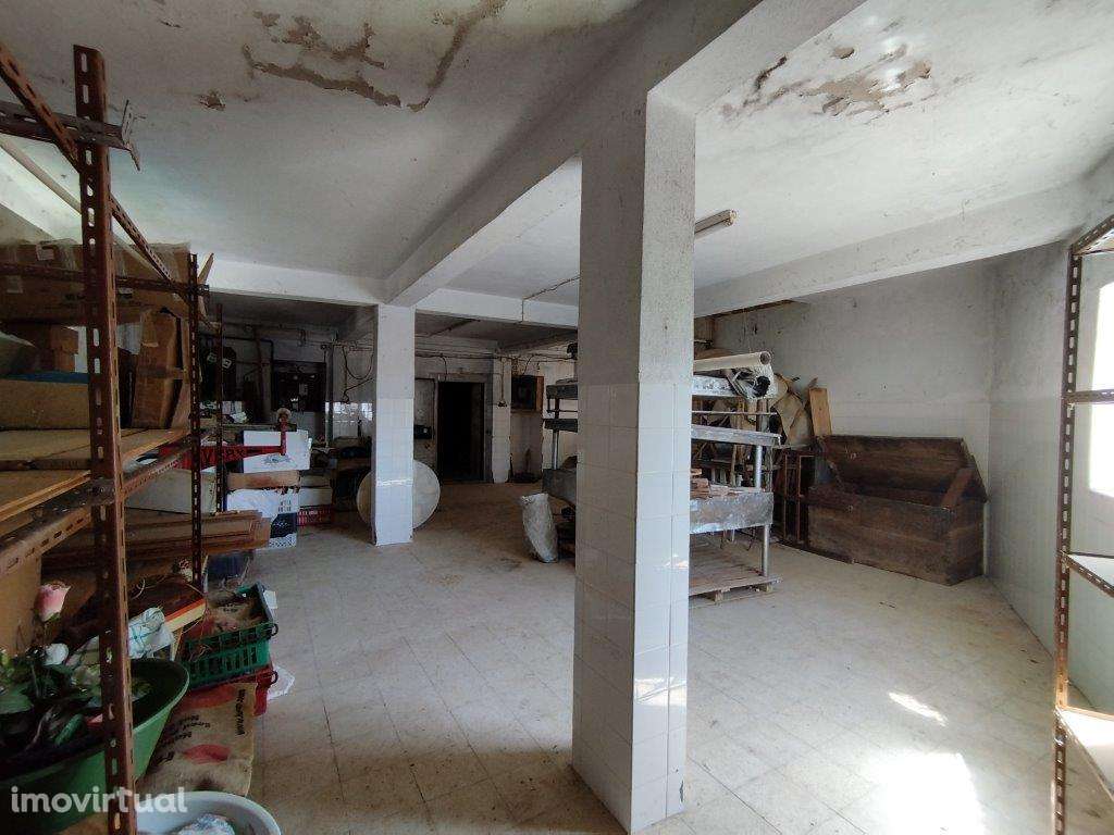 Prédio em Mação, Amêndoa - Grande imagem: 2/10