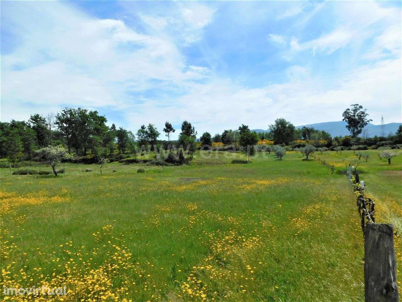 Terreno / Seia, Sameice e Santa Eulália - Grande imagem: 4/15