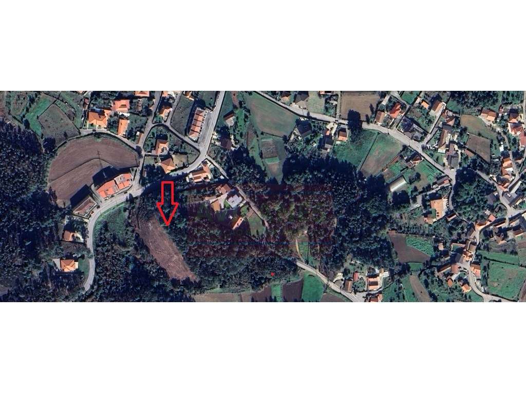 TERRENO - CANEDO (MOSTEIRÔ) - Grande imagem: 2/2
