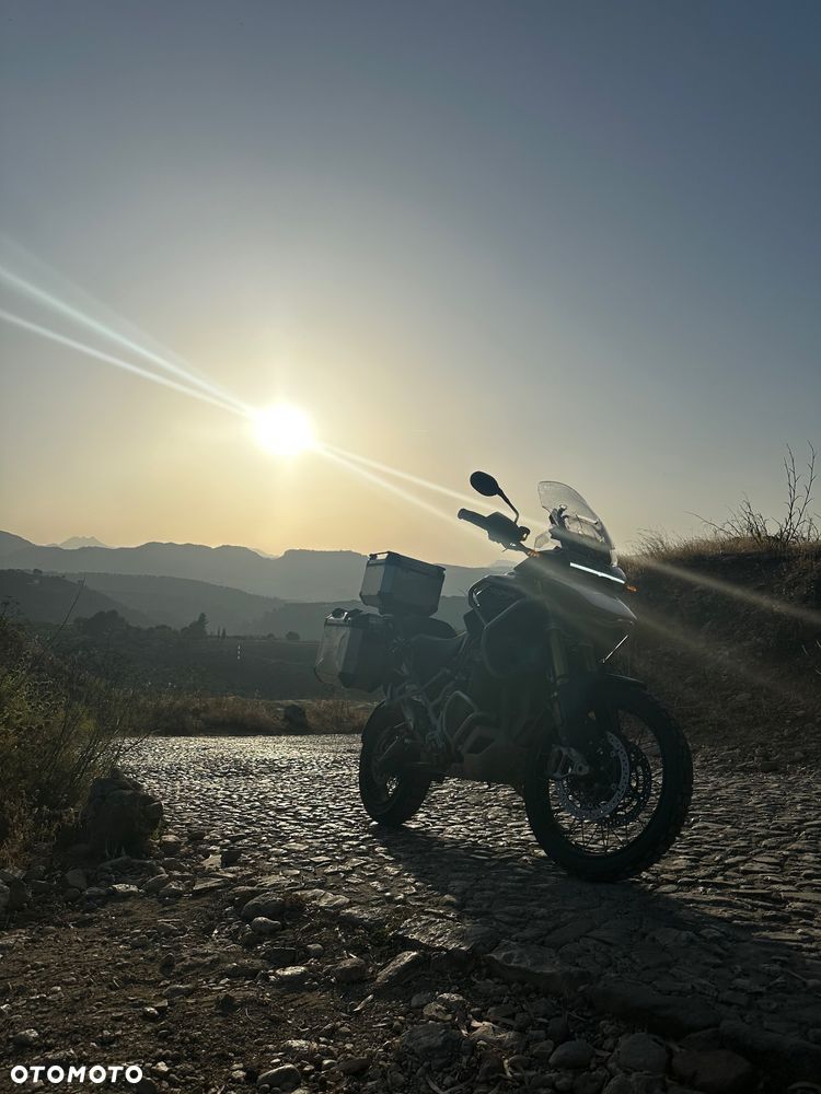 Triumph Tiger - 1