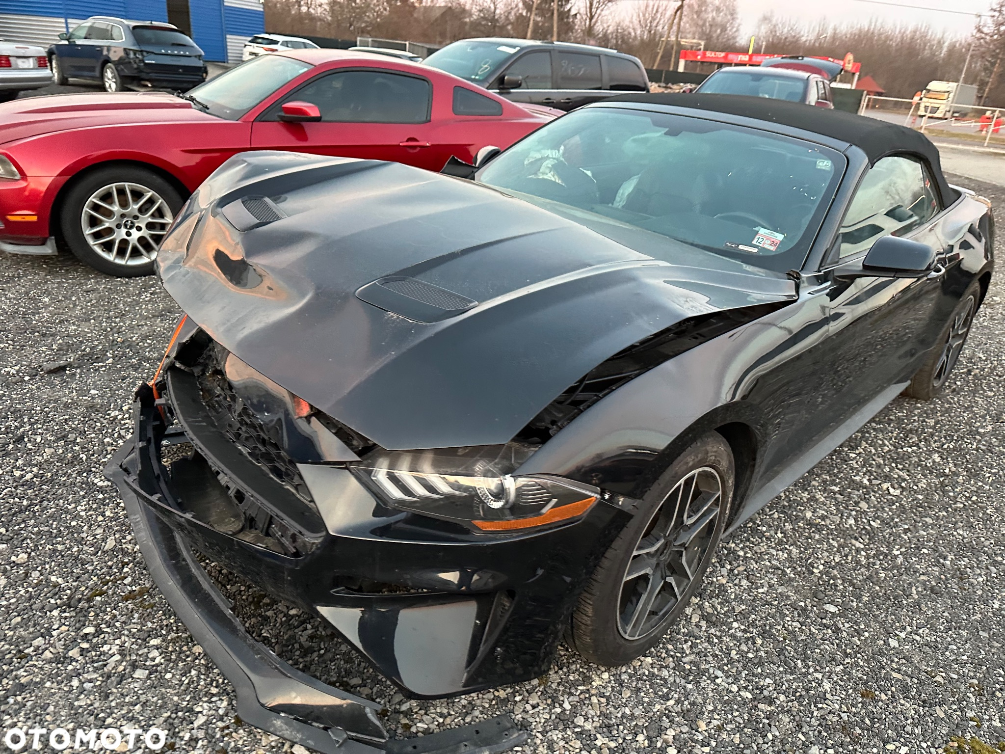 Ford Mustang Cabrio 2.3 Eco Boost - 2
