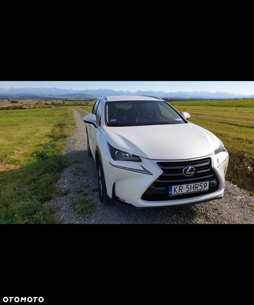 Lexus NX 300h Elegance AWD - 2