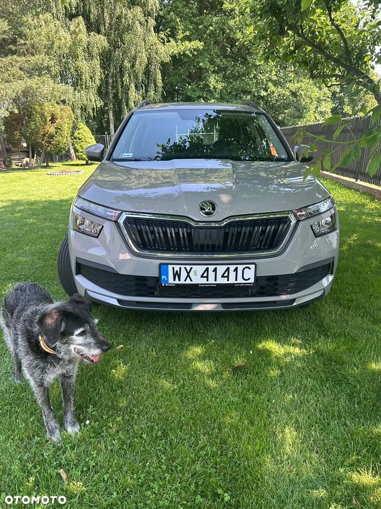 Skoda Kamiq - 9