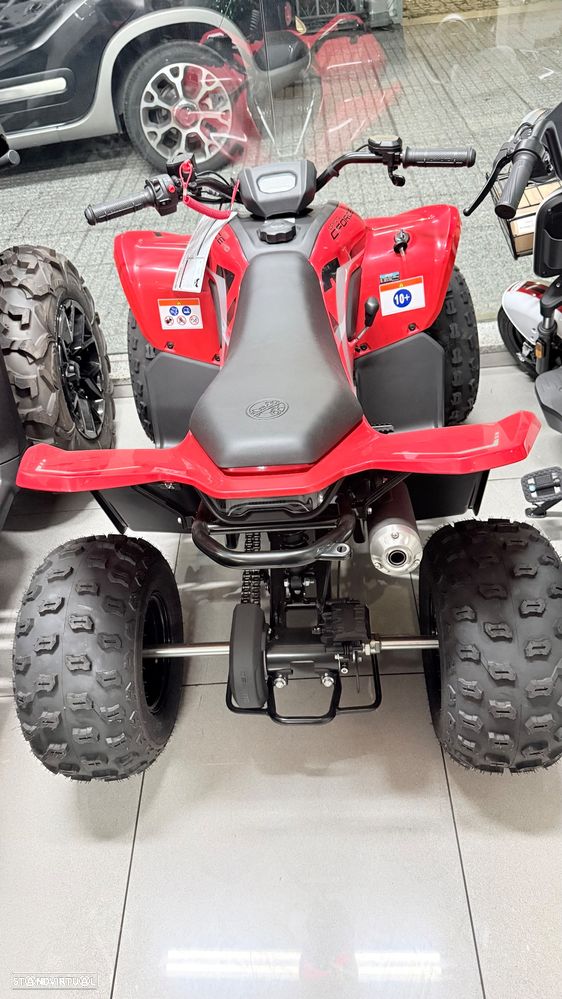 CF Moto C Force Moto 4 - 6