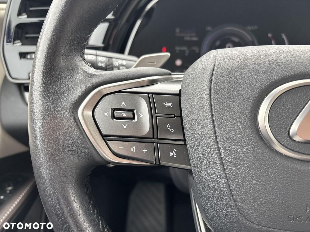 Lexus RX - 14