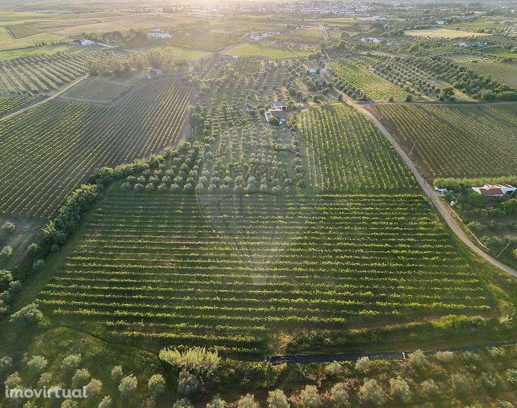 Quinta  para venda - Grande imagem: 4/50