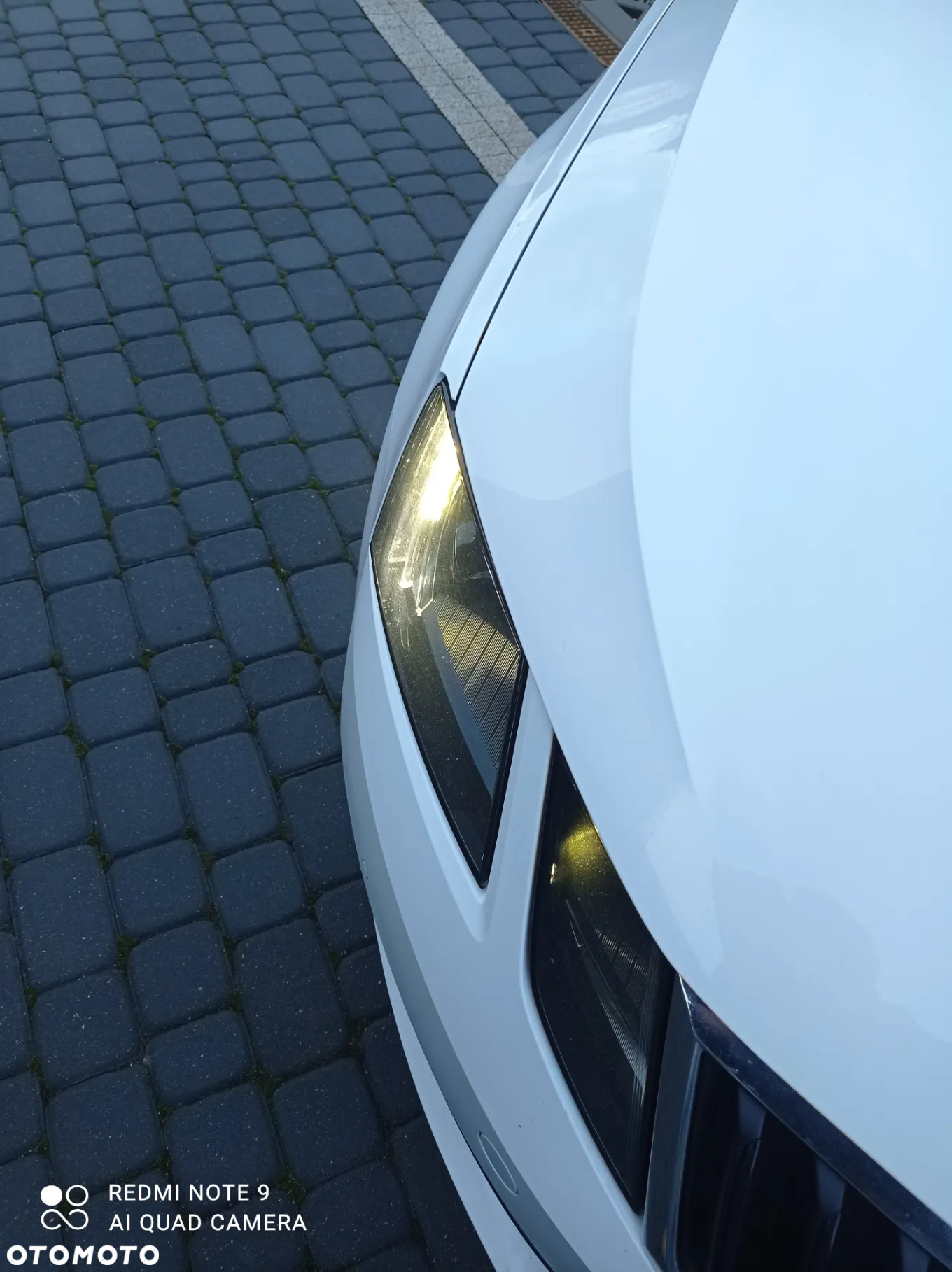 Skoda Octavia - 6
