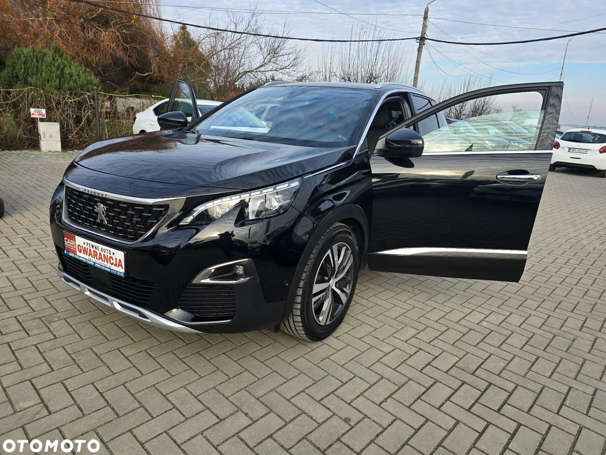 Peugeot 3008 - 21