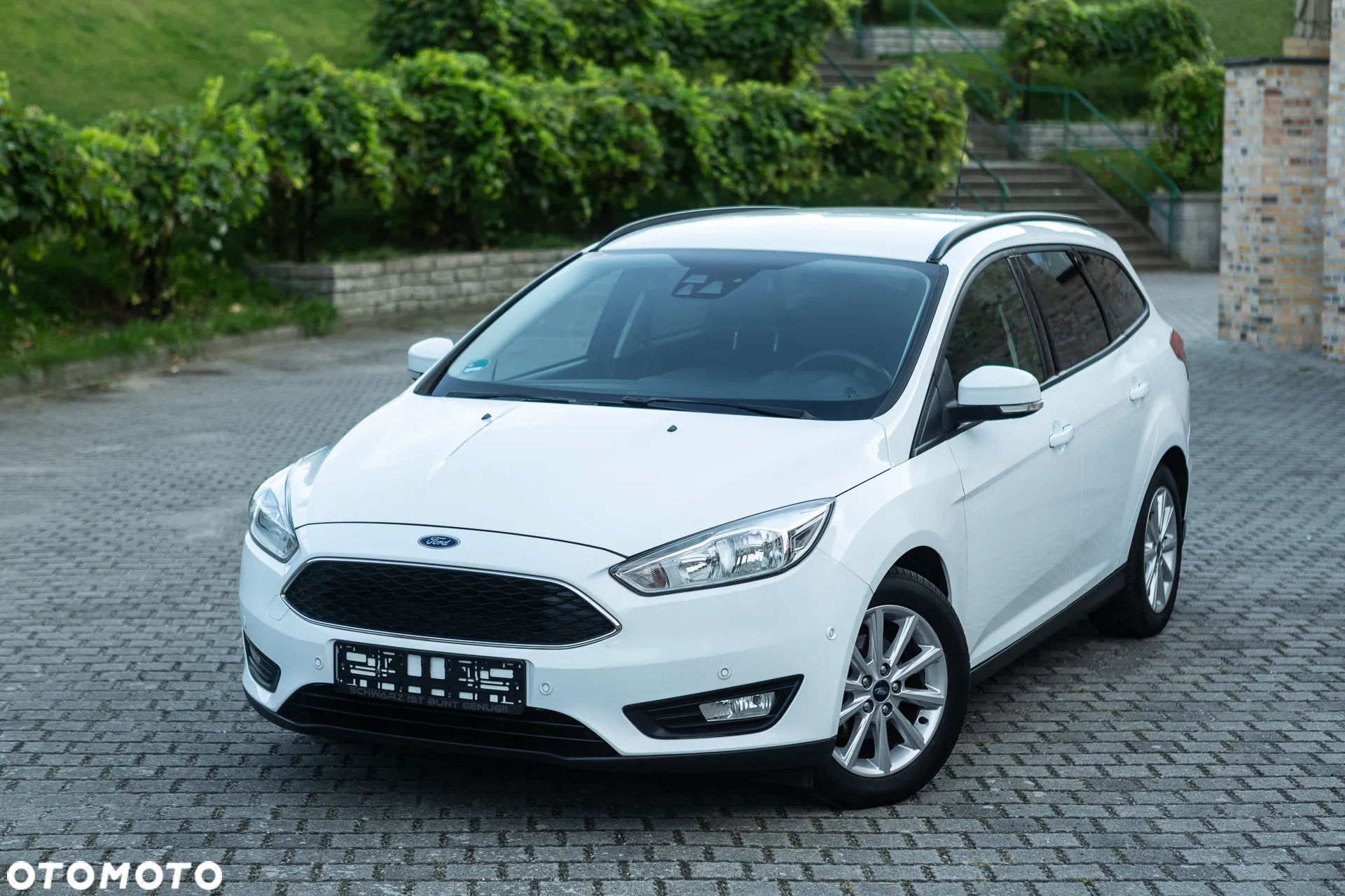 Ford Focus - 1