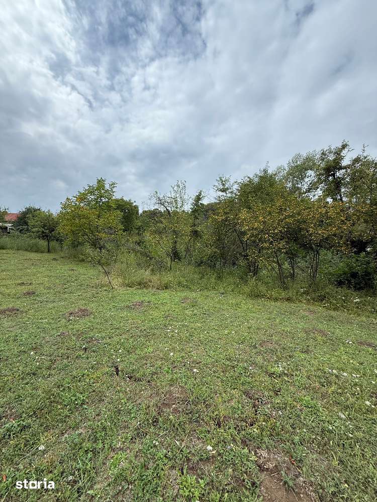 Poiana Câmpina - teren intravilan 3429mp - 50000 Euro - Imagine principală: 4/5