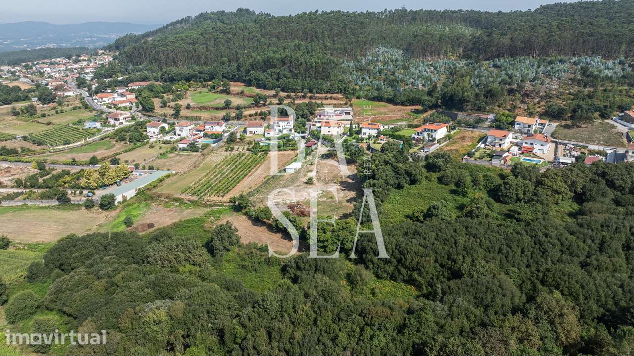 Terreno agrícola com 6044m2 em Semelhe, Braga. - Grande imagem: 5/15