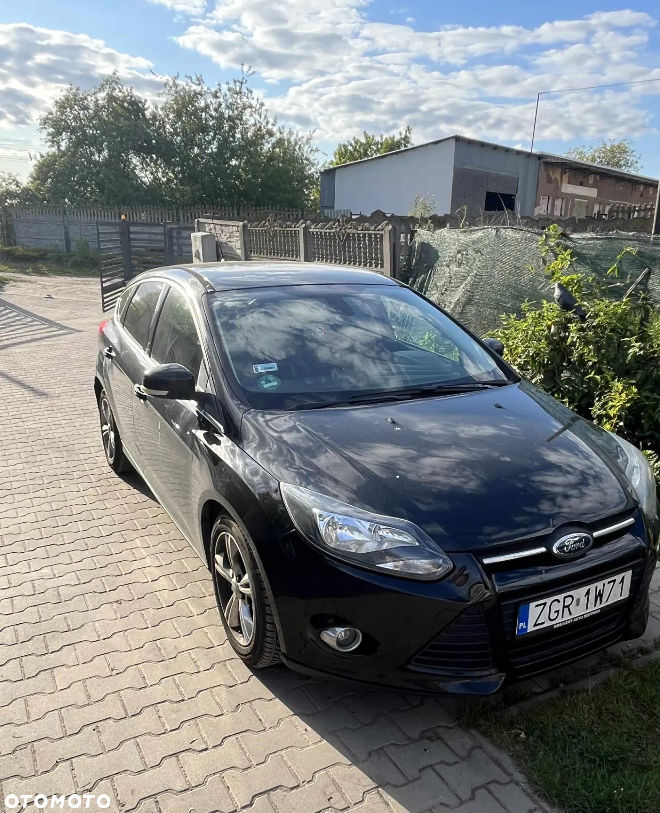 Ford Focus - 1
