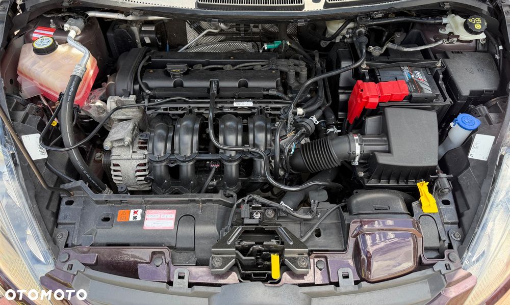 Ford Fiesta 1.25 Celebration - 16