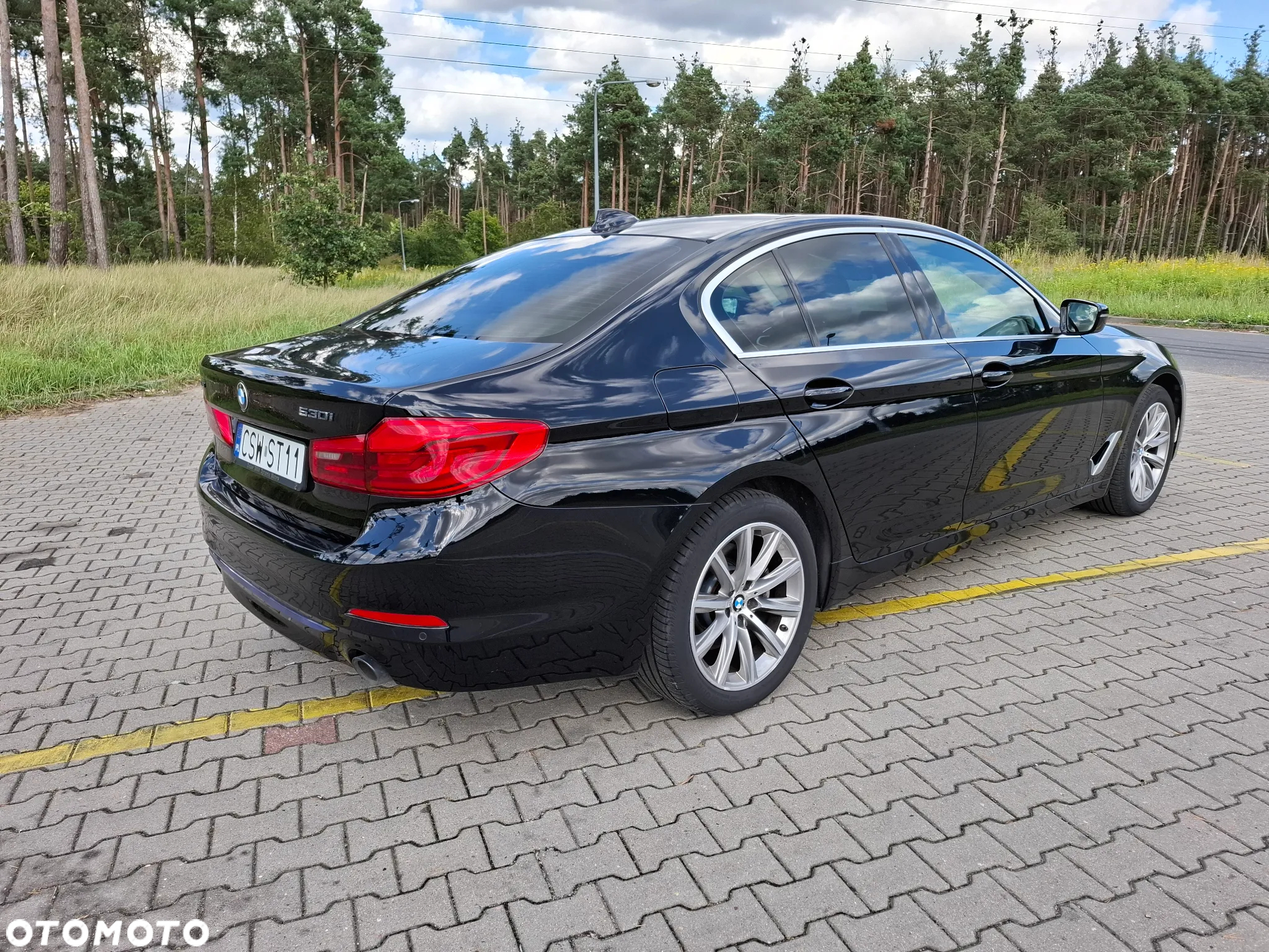 BMW Seria 5 530i xDrive - 8