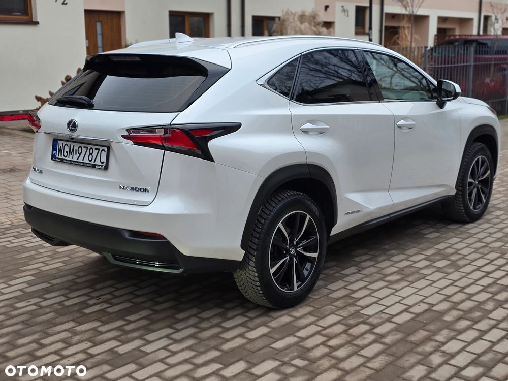 Lexus NX - 8