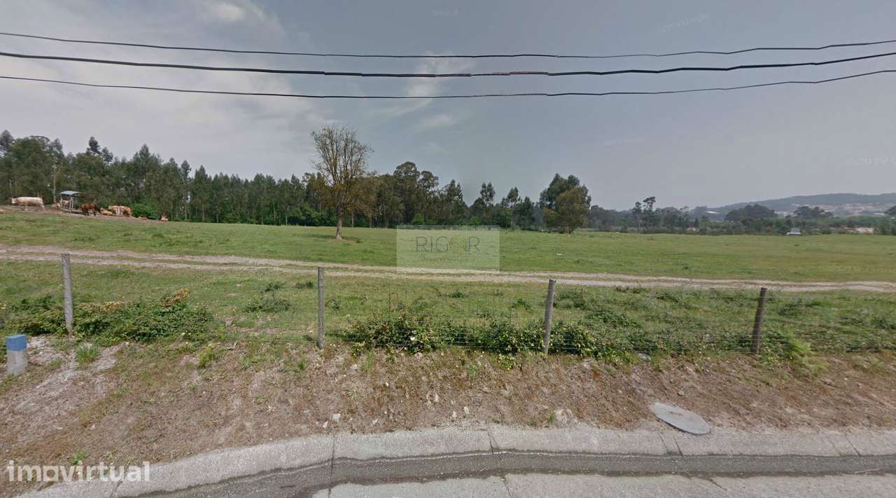 Terreno de 59.000m2 para construção à BIAL - Grande imagem: 3/8