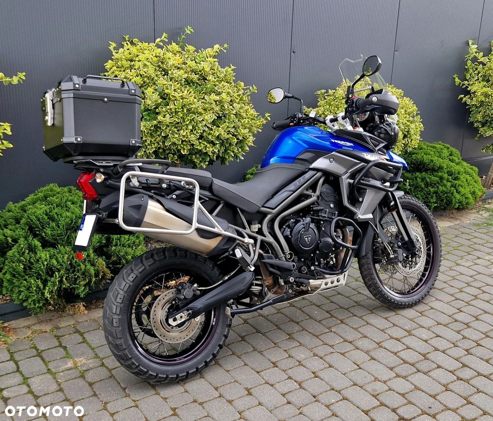 Triumph Tiger - 4