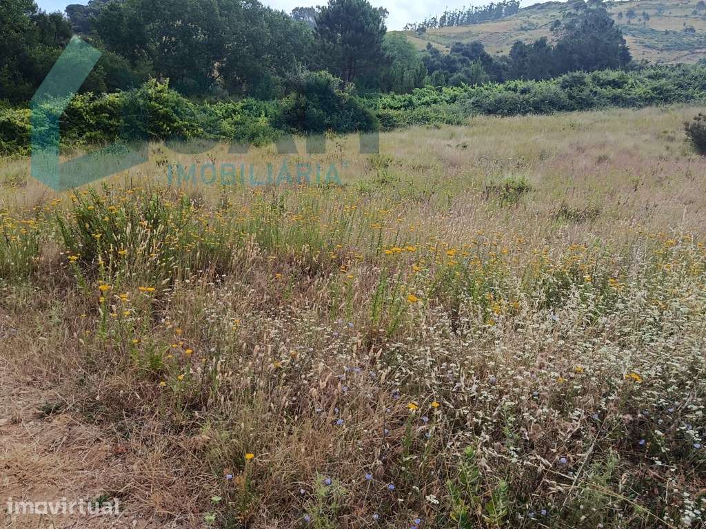 Terreno Urbano em zona privilegiada - Grande imagem: 4/23