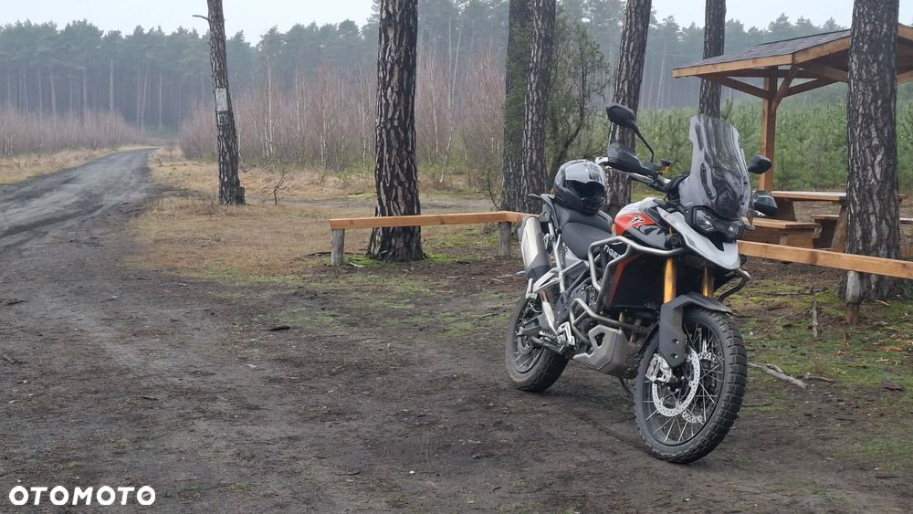Triumph Tiger - 10