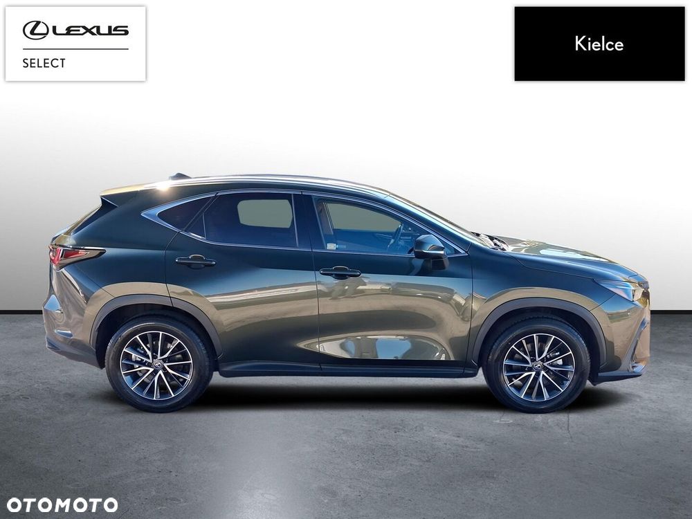 Lexus NX 350h Prestige 2WD - 7
