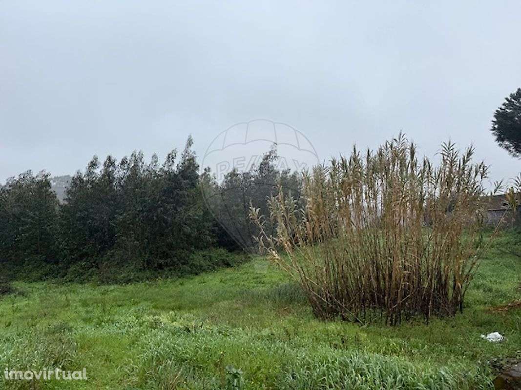 Terreno  para venda - Grande imagem: 3/4